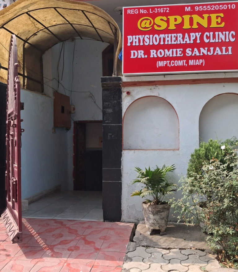Spine Nerve Ortho Physiotherapy Clinic Indirapuram Dr. Romie Sanjali MPT COMT MIAP Ghaziabad Uttar Pradesh 1 768x877