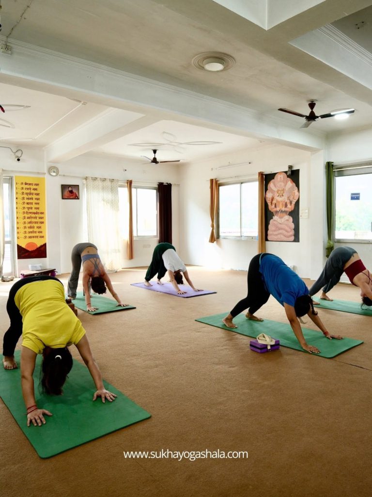 Sukha Yogashala Rishikesh Uttarakhand India Bharat Care 247 11 768x1024
